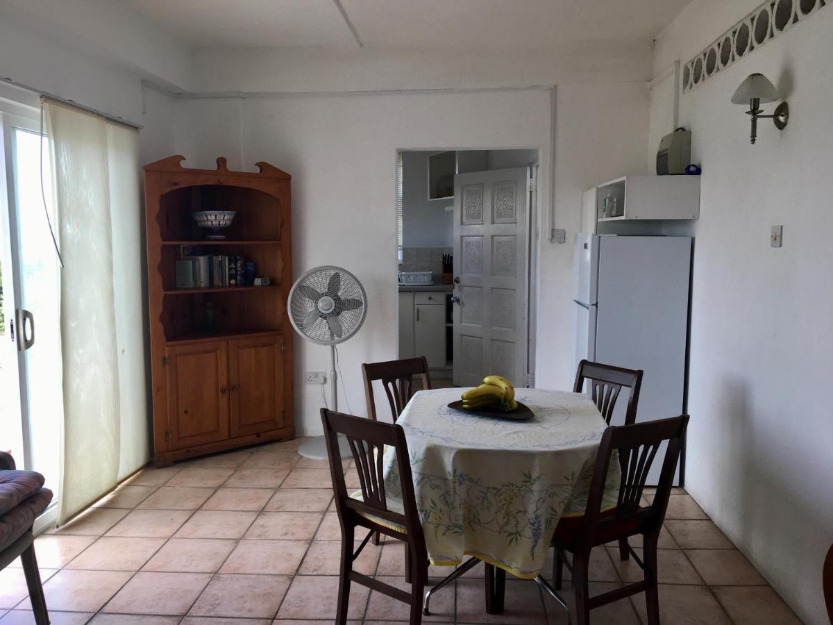 Appartamento Carenage View St. George's Esterno foto