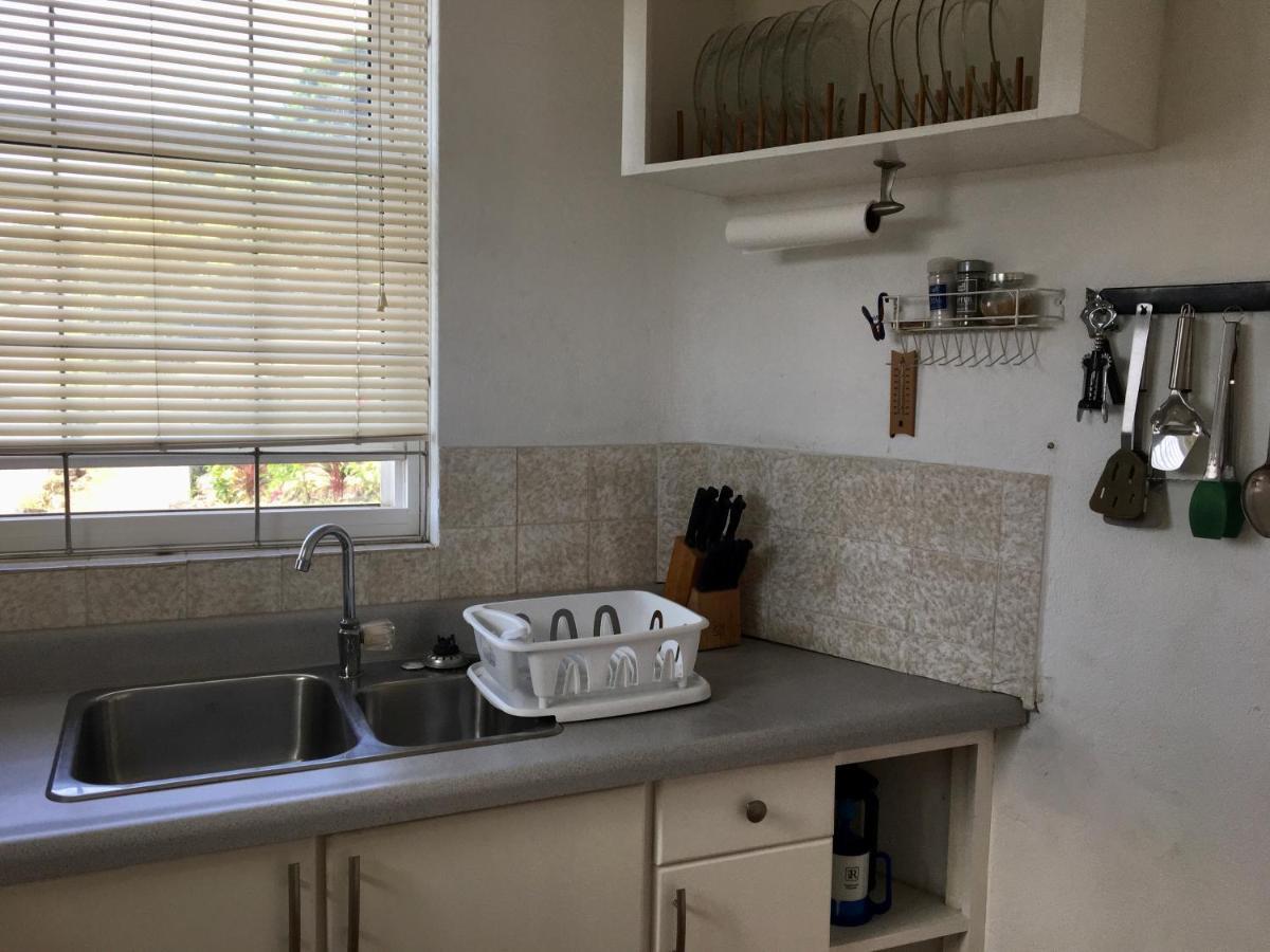 Appartamento Carenage View St. George's Esterno foto