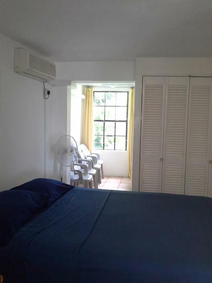 Appartamento Carenage View St. George's Esterno foto
